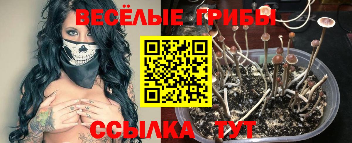 Галлюциногенные грибы мухоморы Кимовск