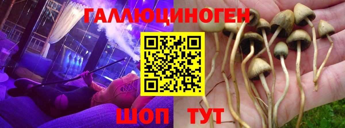 Псилоцибиновые грибы мухоморы  Вход с VPN  Кимовск  Псилоцибиновые грибы ЛСД 